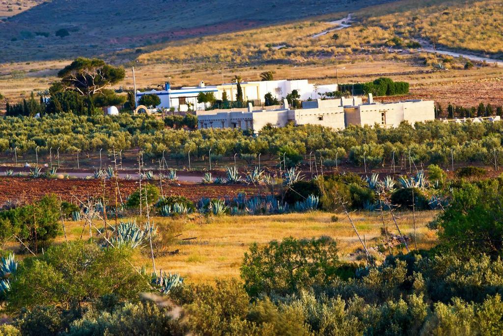 Olivares Rural Los Albaricoques Exterior foto